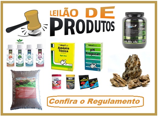 LEILÕES
